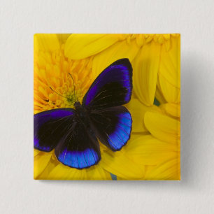 Chapa Cuadrada Fotografía de Mariposa