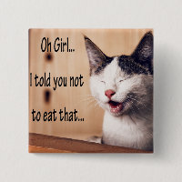 Fotos chistosas de Memes del gato animal divertido