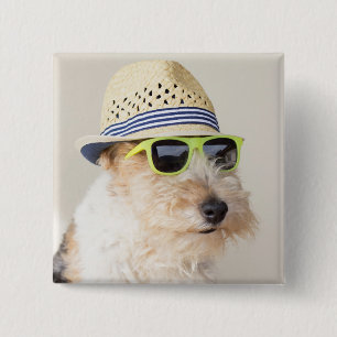 Chapa Cuadrada Fox Terrier