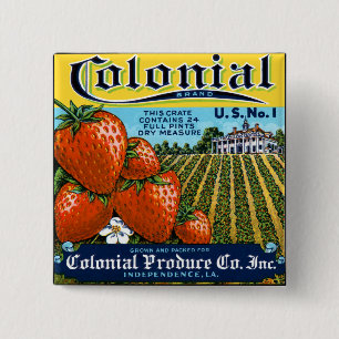 Chapa Cuadrada Fresas coloniales