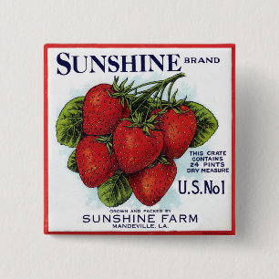 Chapa Cuadrada Fresas Sunshine
