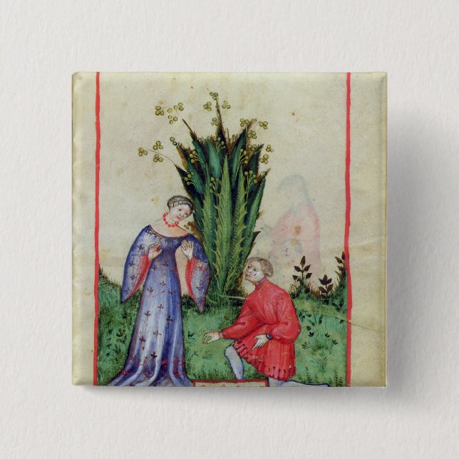 Chapa Cuadrada Fruta de Mandrake, from Tacuinum Sanitatis (Anverso)