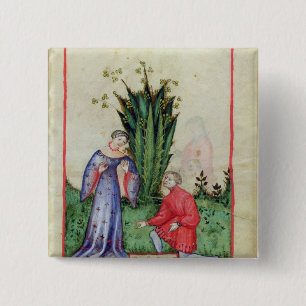 Chapa Cuadrada Fruta de Mandrake, from Tacuinum Sanitatis