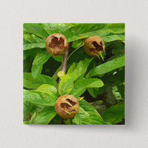 CHAPA CUADRADA FRUTA MEDLAR