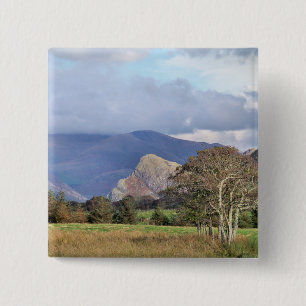 CHAPA CUADRADA GALES