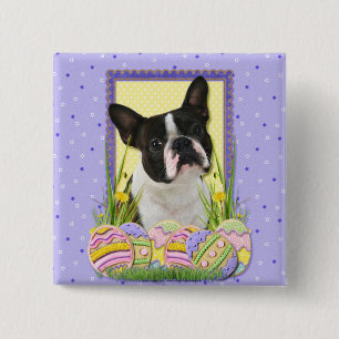 Chapa Cuadrada Galletas del huevo de Pascua - Boston Terrier