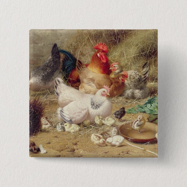 Chapa Cuadrada Gallinas roosting con sus pollos (Anverso)