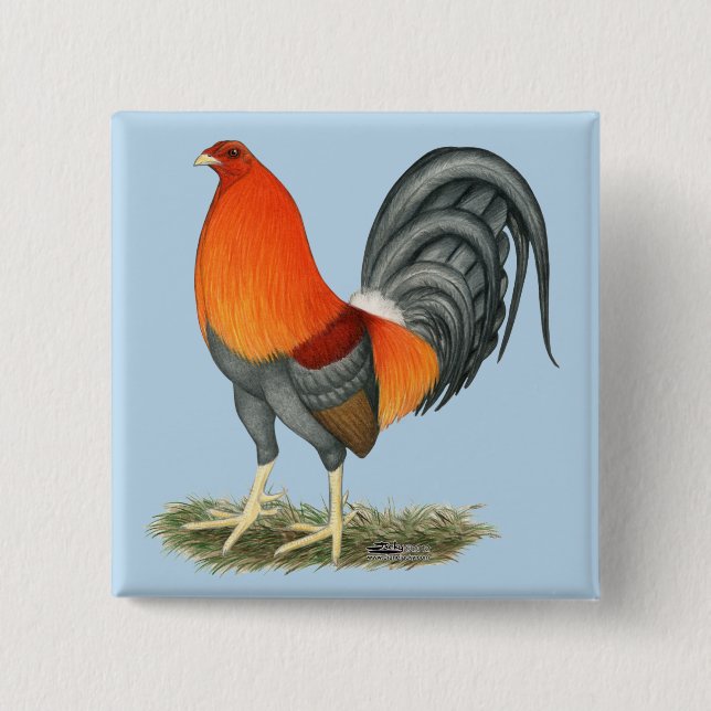 Chapa Cuadrada Gallo Azul Rojo Gamecock (Anverso)