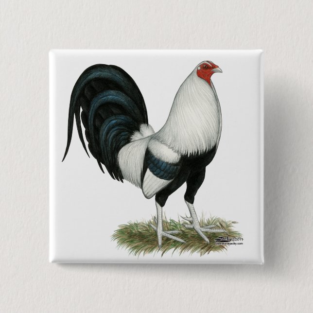 Chapa Cuadrada Gallo de pelea de plata de Duckwing (Anverso)