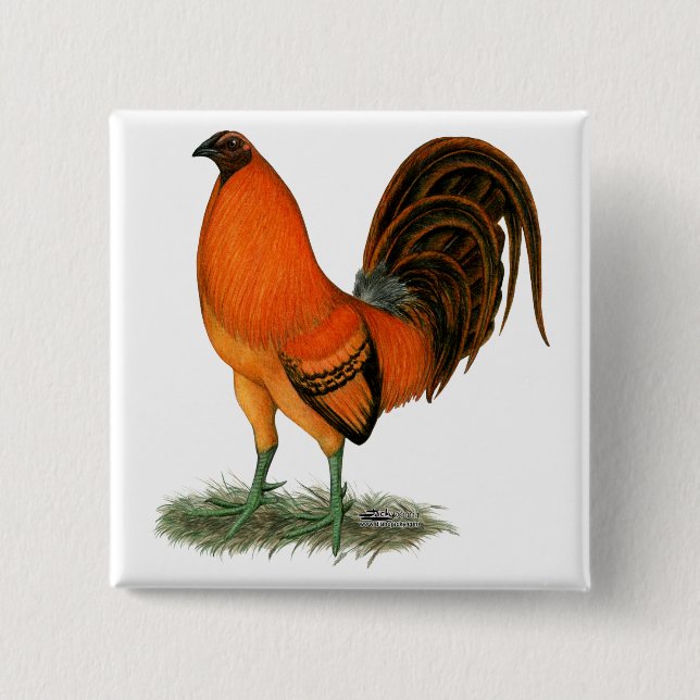 Chapa Cuadrada Gamecock Ginger Rooster (Anverso)