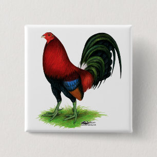 Chapa Cuadrada Gamecock: rojo oscuro