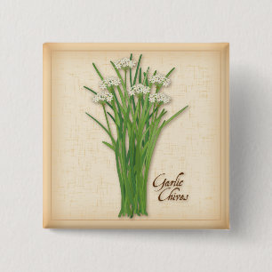 Chapa Cuadrada Garlic Chives Herb