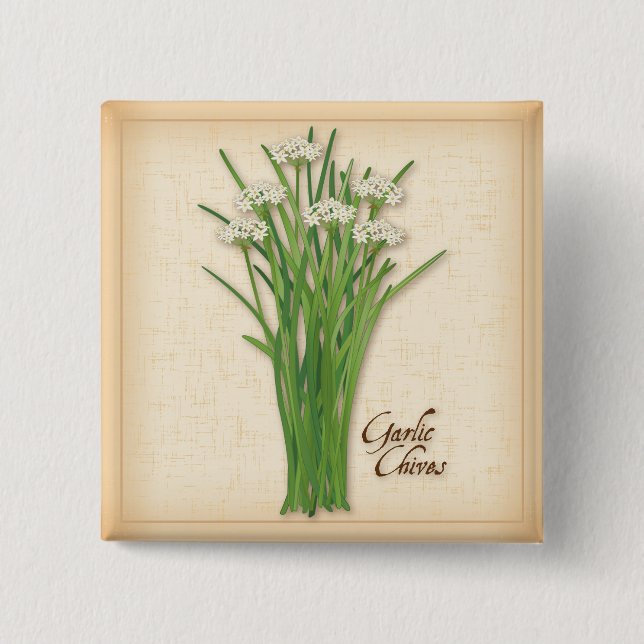 Chapa Cuadrada Garlic Chives Herb (Anverso)