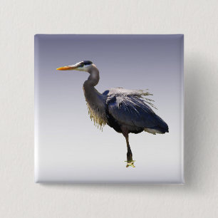 Chapa Cuadrada Garza de gran azul