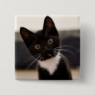 Chapa Cuadrada Gatito blanco y negro lindo del smoking