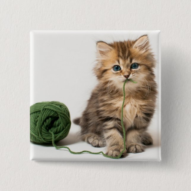 Chapa Cuadrada Gatito con hilado verde (Anverso)