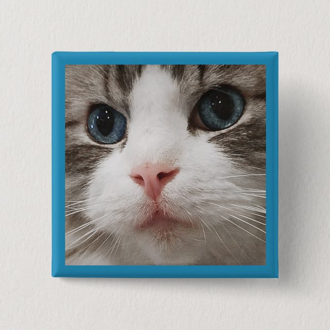 Chapa Cuadrada Gatito de Ragdoll (Anverso)