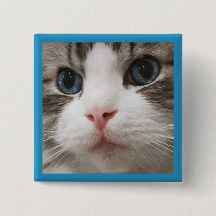 Chapa Cuadrada Gatito de Ragdoll