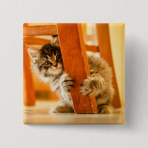 Chapa Cuadrada Gatito debajo de la silla