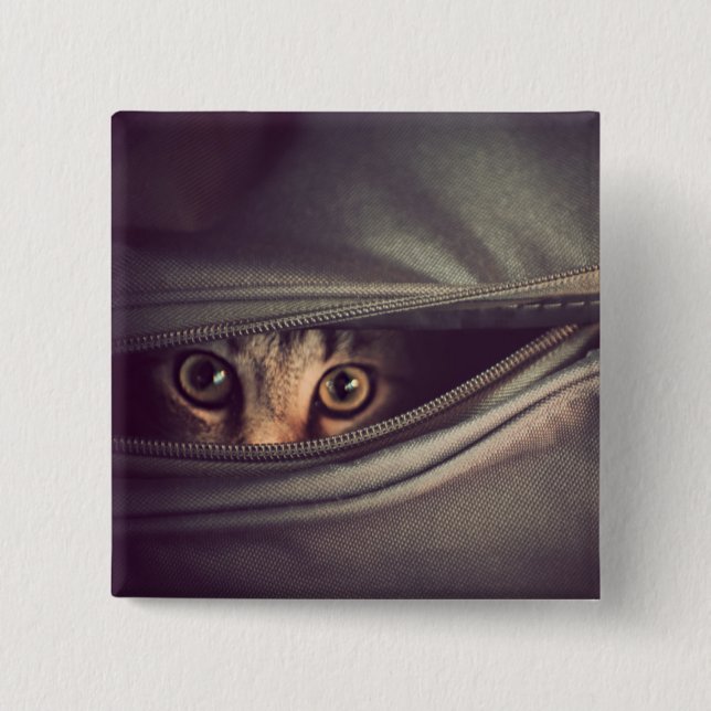 Chapa Cuadrada Gatito joven del Tabby (Anverso)