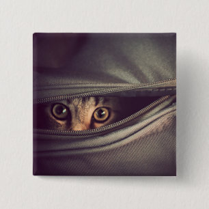 Chapa Cuadrada Gatito joven del Tabby