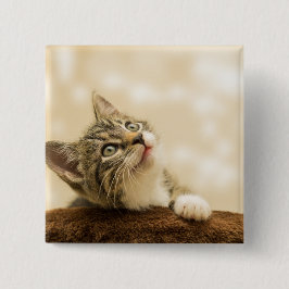 Chapa Cuadrada Gatito lindo con una pata al aire libre