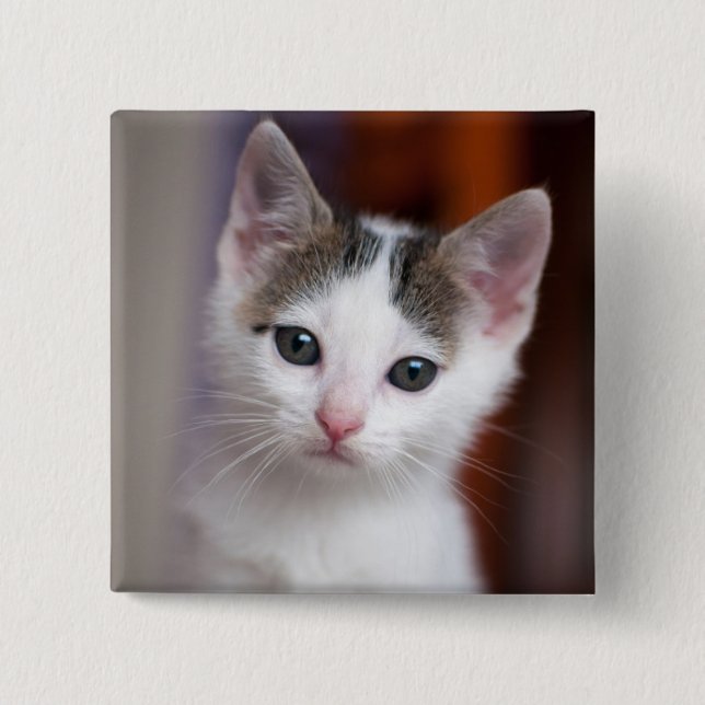 Chapa Cuadrada Gatito manchado blanco (Anverso)