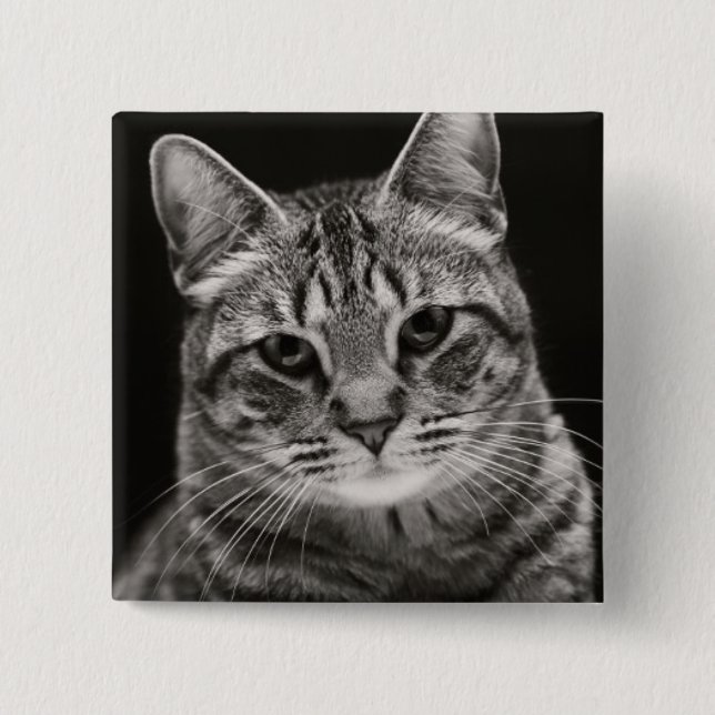 Chapa Cuadrada Gatito negro del Tabby (Anverso)