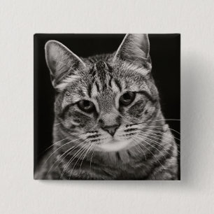 Chapa Cuadrada Gatito negro del Tabby