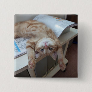 Chapa Cuadrada Gatito que se relaja