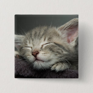 Chapa Cuadrada Gatito soñoliento
