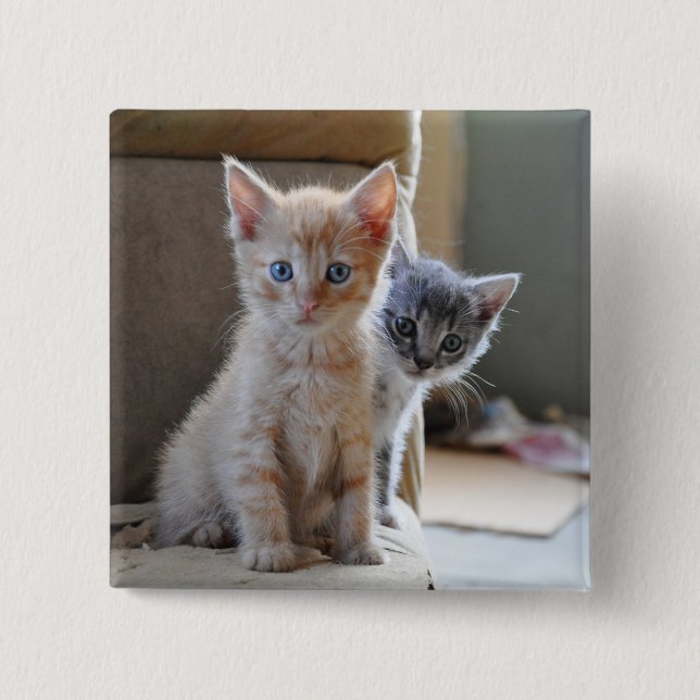 Chapa Cuadrada Gatitos curiosos (Anverso)