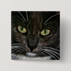 Chapa Cuadrada Gato