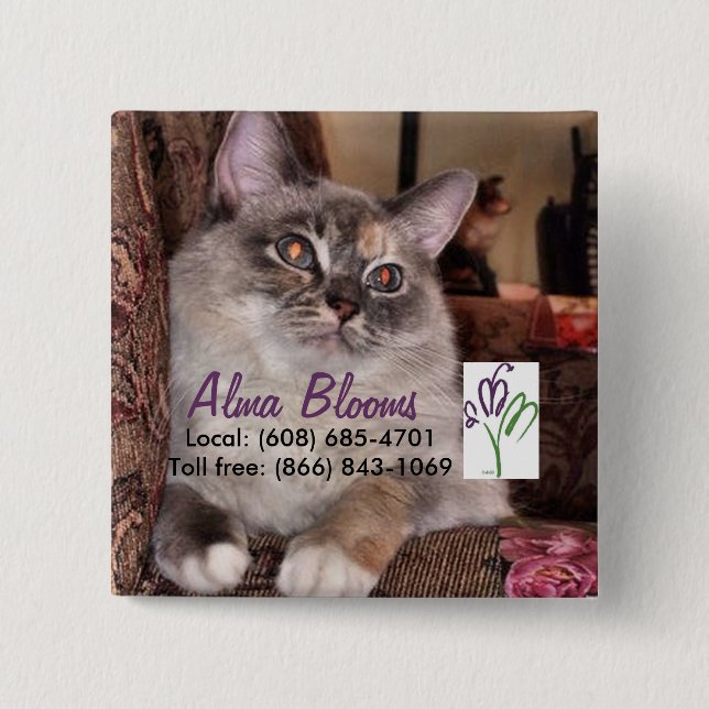 Chapa Cuadrada Gato (Anverso)