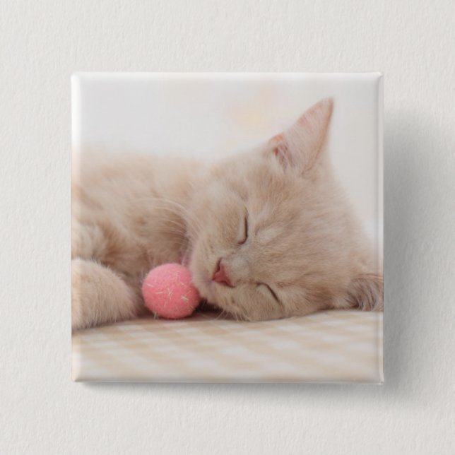 Chapa Cuadrada Gato británico de Shorthair (Anverso)