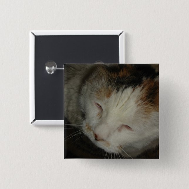 Chapa Cuadrada Gato calico soñoliento (Anverso y reverso)