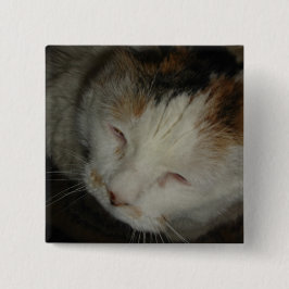 Chapa Cuadrada Gato calico soñoliento