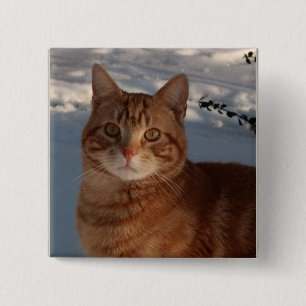 Chapa Cuadrada Gato de corte