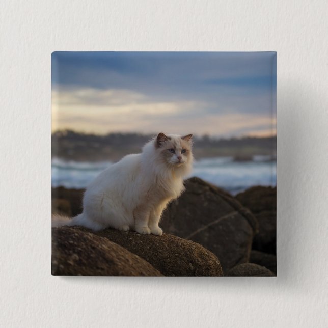 Chapa Cuadrada Gato de Ragdoll en la playa (Anverso)