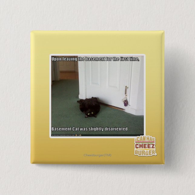 Chapa Cuadrada Gato del sótano, desorientado levemente (Anverso)