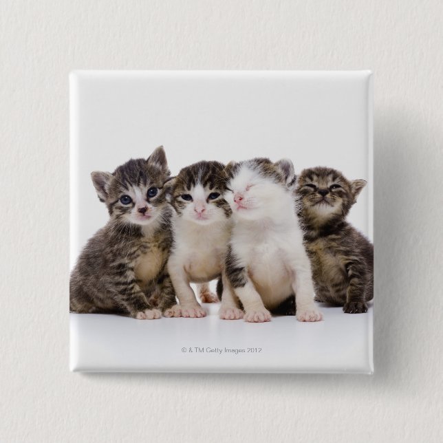 Chapa Cuadrada Gato japonés (Anverso)