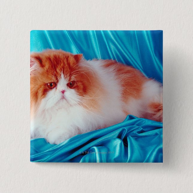 Chapa Cuadrada Gato persa (Anverso)