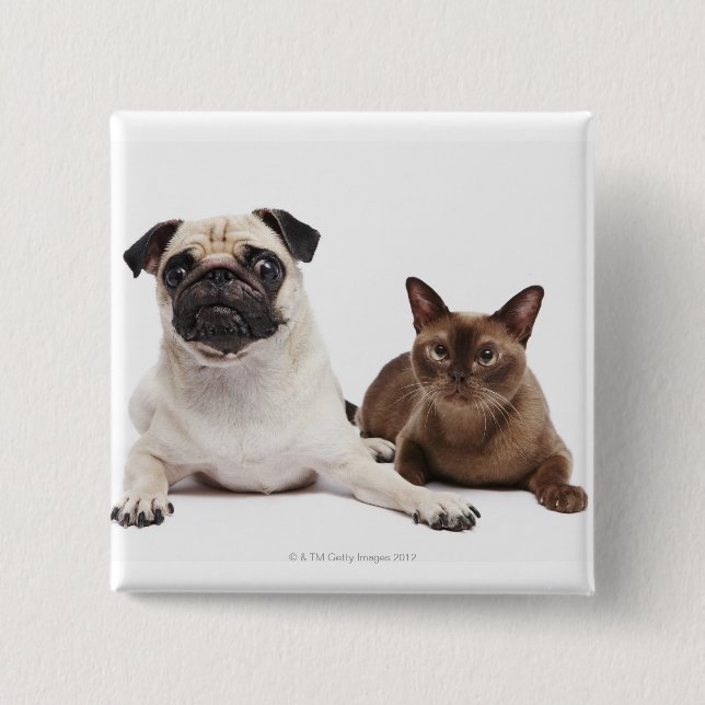Chapa Cuadrada Gato Pug y birmano (Anverso)