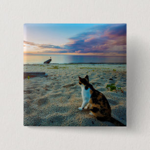 Chapa Cuadrada Gato que se sienta en una playa