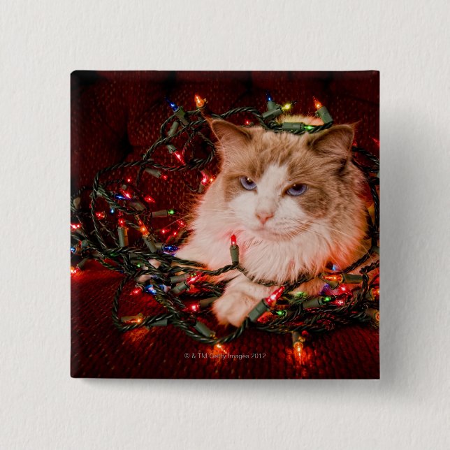 Chapa Cuadrada Gato sentado en una bola de luces Navidades. (Anverso)