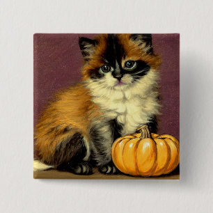 Chapa Cuadrada Gato Vintage Ragdoll Halloween