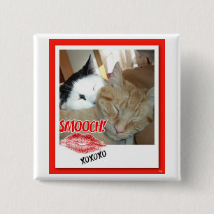 Chapa Cuadrada Gatos el día de San Valentín