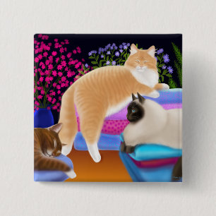 Chapa Cuadrada Gatos en el Pin recientemente doblado del lavadero