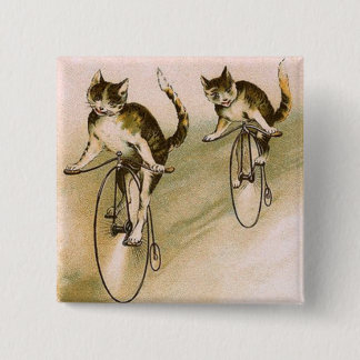Chapa Cuadrada Gatos vintage en las bicicletas