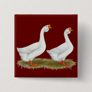 Chapa Cuadrada Geese africano blanco